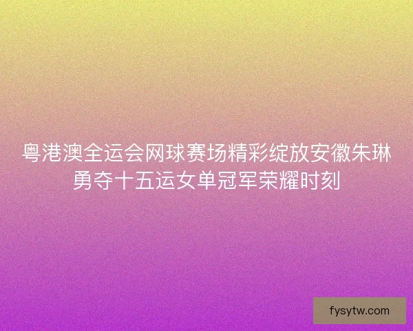 粤港澳全运会网球赛场精彩绽放安徽朱琳勇夺十五运女单冠军荣耀时刻